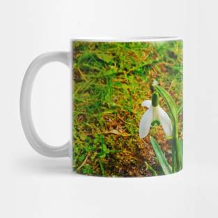 Beautiful Snowdrops In The Grass Fields Mug